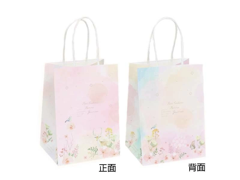 proimages/02-04/09/大6KL(方)紙袋-幻彩森林-jpg.webp