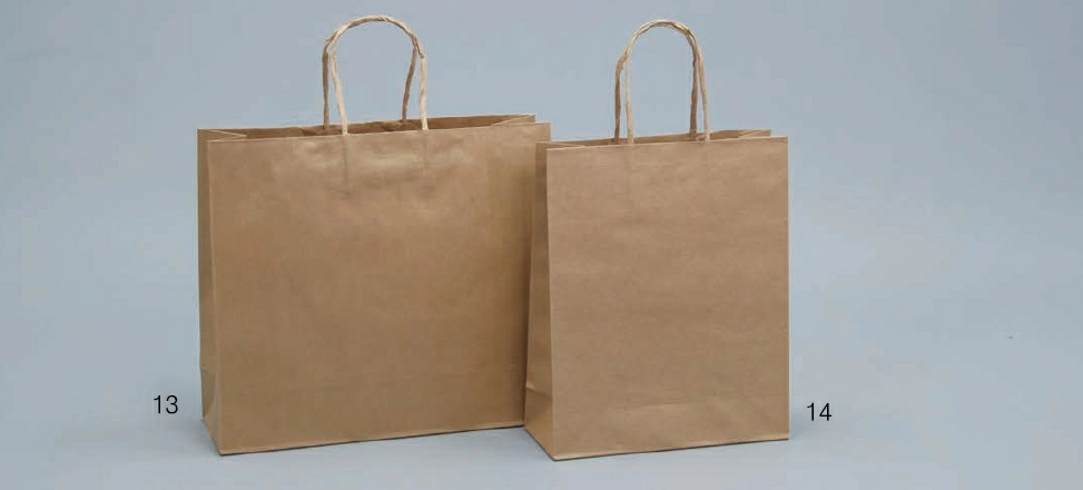 proimages/1K/紙繩素牛皮紙袋(提袋)-jpg.webp