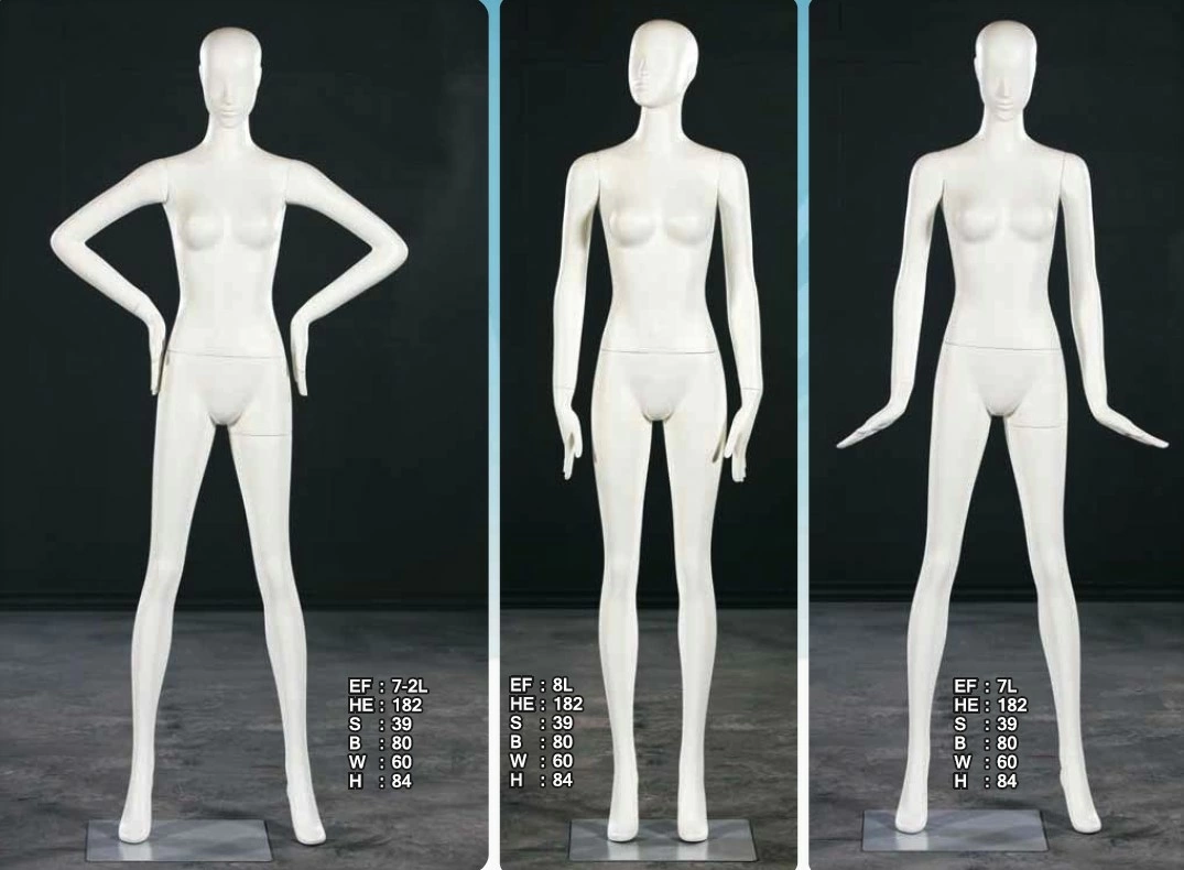 proimages/MD/EF/EF系列_全身型模特兒_B-jpg.webp
