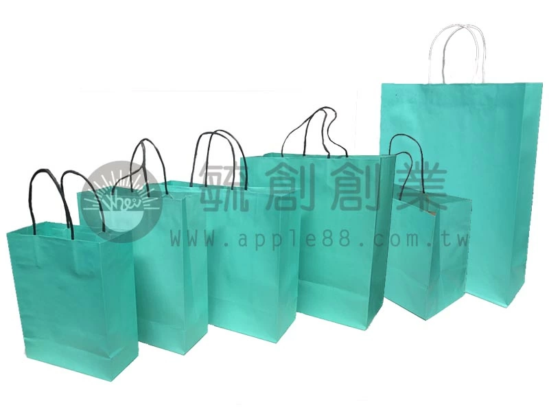 手提紙袋 湖水綠
